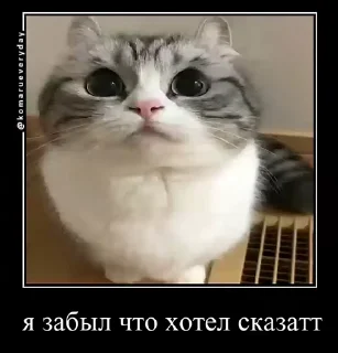 🤩 emoji жмых | @malina_mr Telegram sticker 2 of 79