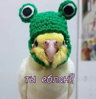 Sticker from Тю блин: Зверюшки by @passta321