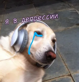 Sticker from Тю блин: Зверюшки by @passta321