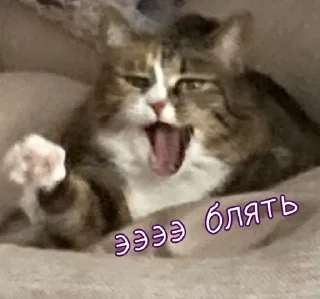 Sticker from Тю блин: Зверюшки by @passta321