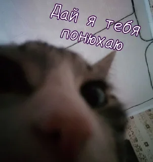 Sticker from Тю блин: Зверюшки by @passta321
