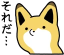 😍 emoji Raccoon dog & Fox :: @line_stickers Telegram sticker 10 of 120