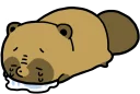 😭 emoji Raccoon dog & Fox :: @line_stickers Telegram sticker 15 of 120