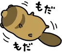😫 emoji Raccoon dog & Fox :: @line_stickers Telegram sticker 21 of 120