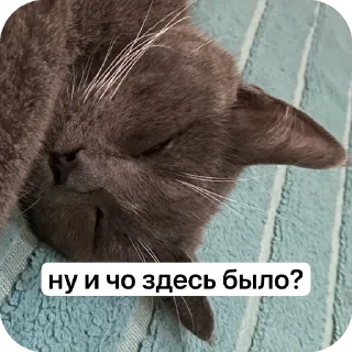🫥 emoji Dymok от @dymokofficial01 Telegram sticker 21 of 22