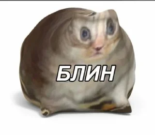 🌟 emoji Я 😮 МЕФ Telegram sticker 7 of 106