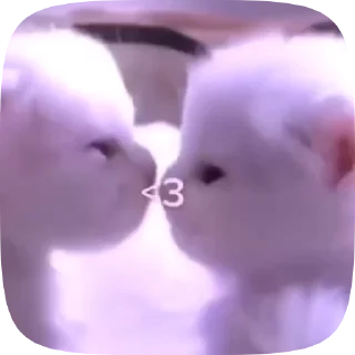 Фу милота какая то  🙂🩶 sticker 4