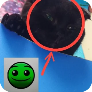 Sticker from Мушка и ее кенты