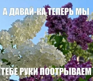 Sticker from делала кирочка