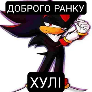Sticker from Чорний Сонік🦔