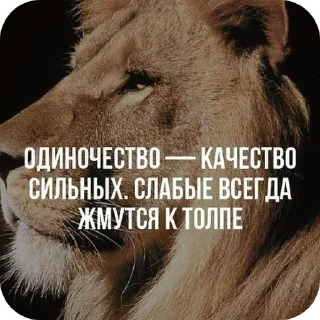 👍 emoji Жёлтые бочки и прочее @EoD Telegram sticker 20 of 75