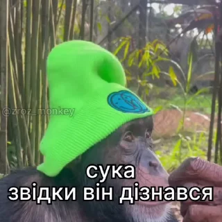 Sticker from Їбучі мавпи