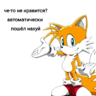 🖕 emoji Совет от Соника Telegram sticker 22 of 24