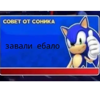 👍 emoji Совет от Соника Telegram sticker 6 of 24