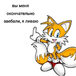 Sticker from Совет от Соника