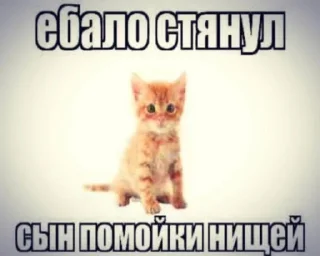 Sticker from каты