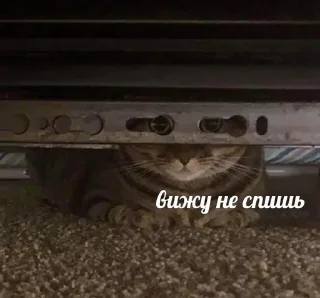 Sticker from стикерочки @youuumee