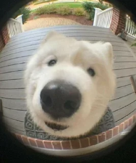 Sticker from ForDen