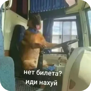 Sticker from Кус шарлизка