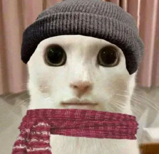 ⭐️ emoji Коты @tgfonts_bot Telegram sticker 19 of 28
