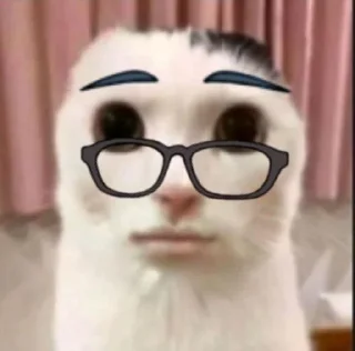 ⭐️ emoji Коты @tgfonts_bot Telegram sticker 10 of 28