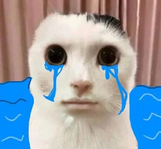 ⭐️ emoji Коты @tgfonts_bot Telegram sticker 12 of 28