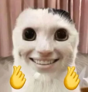 ⭐️ emoji Коты @tgfonts_bot Telegram sticker 22 of 28