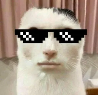 ⭐️ emoji Коты @tgfonts_bot Telegram sticker 17 of 28
