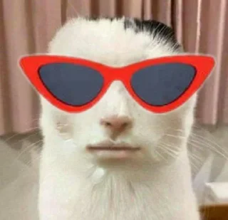 ⭐️ emoji Коты @tgfonts_bot Telegram sticker 9 of 28
