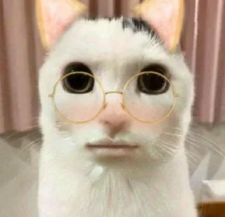 ⭐️ emoji Коты @tgfonts_bot Telegram sticker 11 of 28