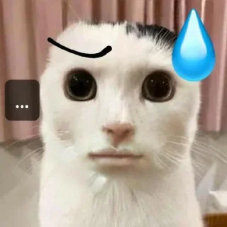 ⭐️ emoji Коты @tgfonts_bot Telegram sticker 14 of 28