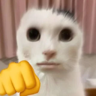 ⭐️ emoji Коты @tgfonts_bot Telegram sticker 15 of 28