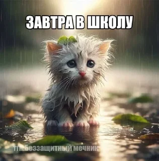 😔 emoji СамМечник: @bezzachitnui  Я @korolpupsikov Telegram sticker 14 of 30