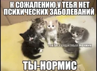 🤓 emoji СамМечник: @bezzachitnui  Я @korolpupsikov Telegram sticker 22 of 30
