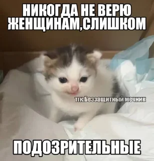 😏 emoji СамМечник: @bezzachitnui  Я @korolpupsikov Telegram sticker 20 of 30