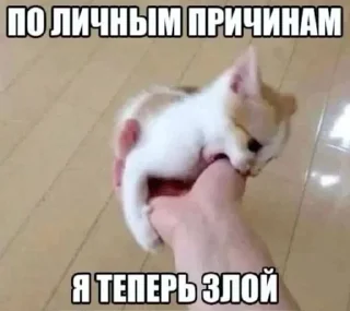 😈 emoji СамМечник: @bezzachitnui  Я @korolpupsikov Telegram sticker 11 of 30