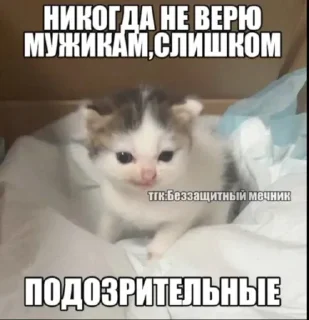 😏 emoji СамМечник: @bezzachitnui  Я @korolpupsikov Telegram sticker 21 of 30