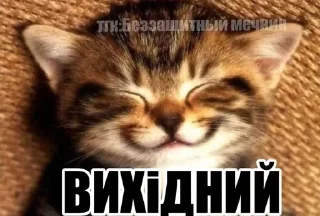 🤤 emoji СамМечник: @bezzachitnui  Я @korolpupsikov Telegram sticker 12 of 30