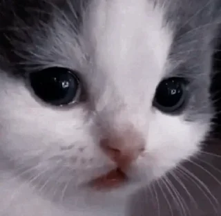 Sticker from qqshka