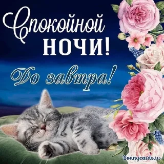 Sticker from спокойной ночи/ доброе утро