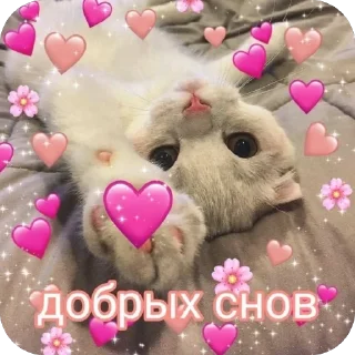 Sticker from От Саши ду-сн🌅🌃