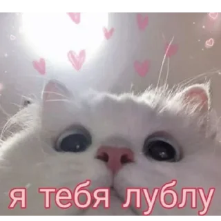 Sticker from Люблю