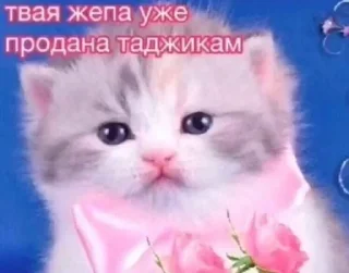 Sticker from я пидарас Патрик привет