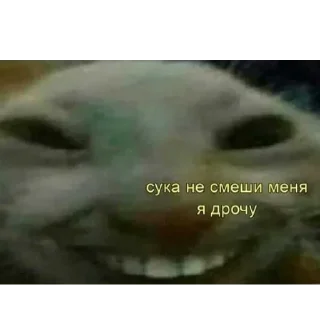 😂 emoji сверло is my homie Telegram sticker 19 of 45