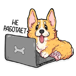 Sticker from корги кодеры (@kotypic)