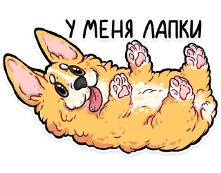 Sticker from корги кодеры (@kotypic)