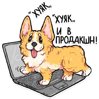 Sticker from корги кодеры (@kotypic)