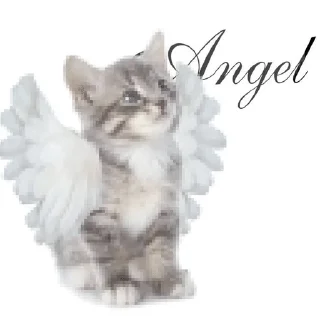Sticker from @ry112519