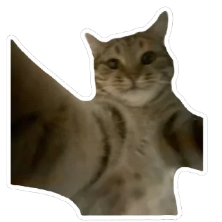 😝 emoji муся і пуся Telegram sticker 10 of 23