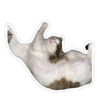 💤 emoji муся і пуся Telegram sticker 6 of 23